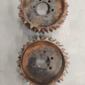 WhatsApp Image 2026 02 11 At 10.12.04 (1)