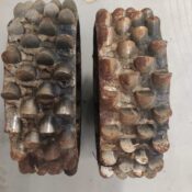 WhatsApp Image 2026 02 11 At 10.12.04