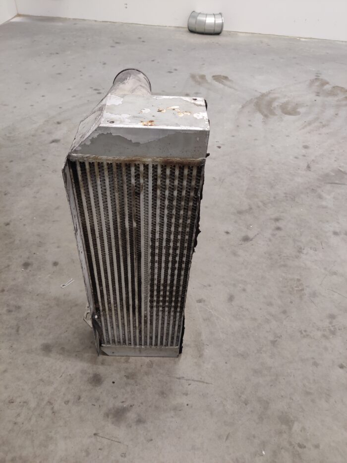 17757191844029157864525447529509